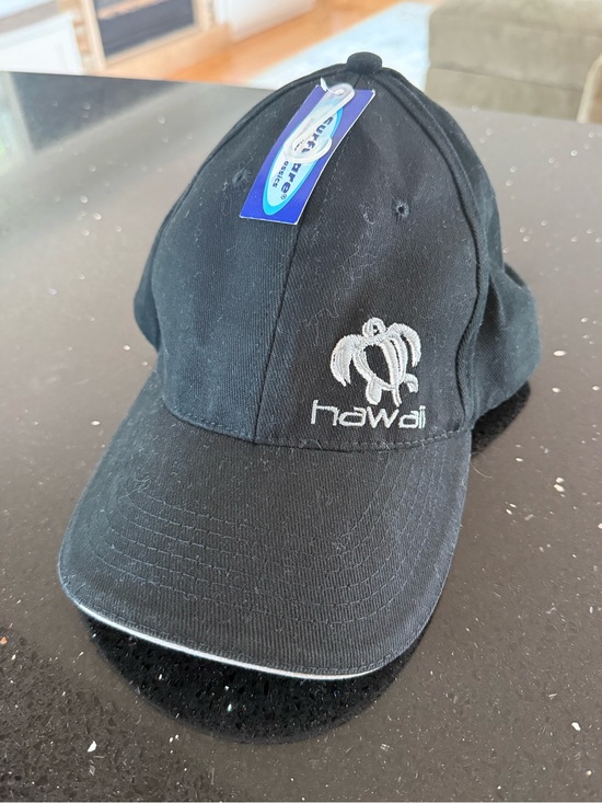Other - Hawaii Embroidered Turtle Baseball Hat- Black